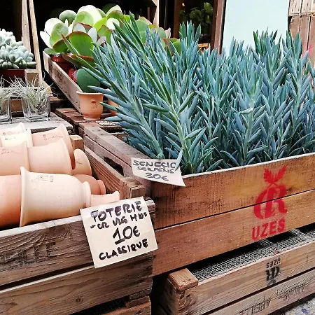 Apartment Olivenhuset *